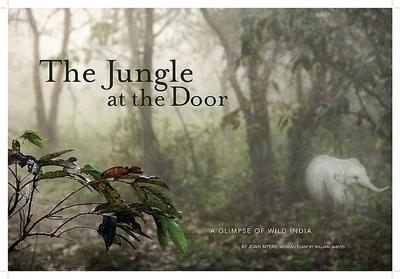 The Jungle at the Door