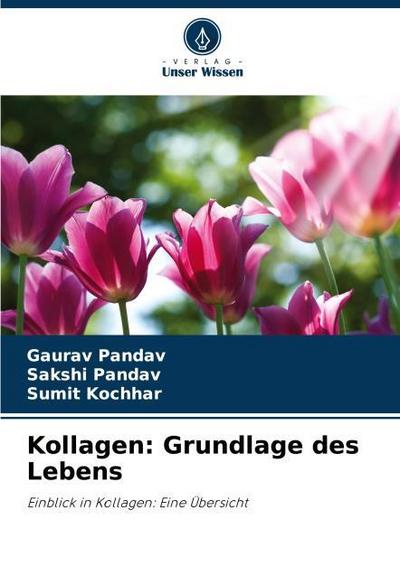 Kollagen: Grundlage des Lebens