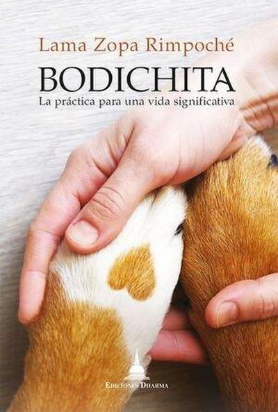 Bodichita : la práctica para una vida significativa