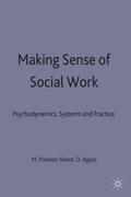 Making Sense of Social Work