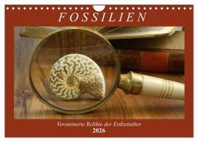 Fossilien - Versteinerte Relikte der Erdzeitalter (Wandkalender 2026 DIN A4 quer), CALVENDO Monatskalender