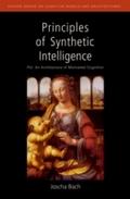 Principles of Synthetic Intelligence