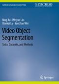 Video Object Segmentation