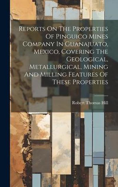 Reports On The Properties Of Pinguico Mines Company In Guanajuato, Mexico, Covering The Geological, Metallurgical, Mining And Milling Features Of Thes