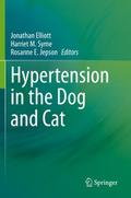 Hypertension in the Dog and Cat