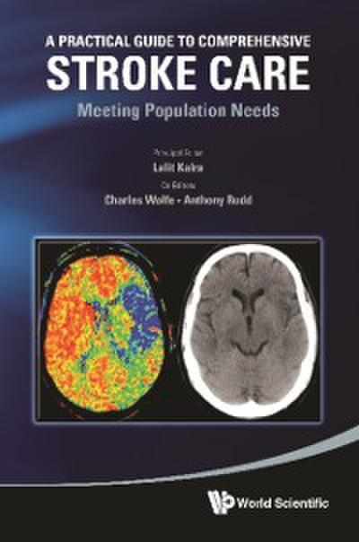 Practical Guide To Comprehensive Stroke Care, A: Meeting Population Needs