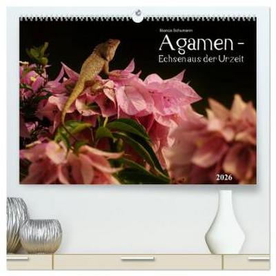 Agamen - Echsen aus der Urzeit (hochwertiger Premium Wandkalender 2026 DIN A2 quer), Kunstdruck in Hochglanz