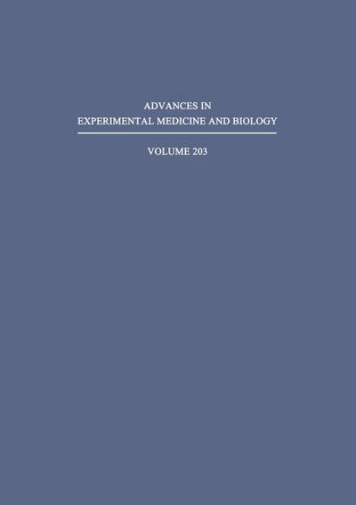 Excitatory Amino Acids and Epilepsy