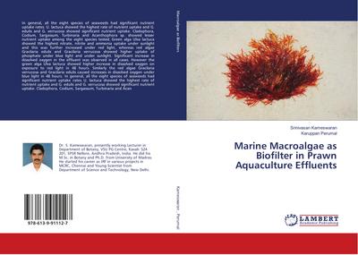 Marine Macroalgae as Biofilter in Prawn Aquaculture Effluents