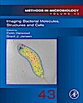 Imaging Bacterial Molecules, Structures and Cells