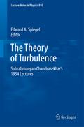 Theory of Turbulence