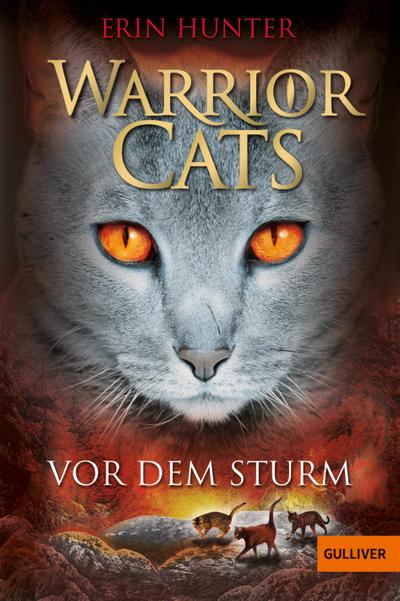 Warrior Cats. Vor dem Sturm: I, Band 4