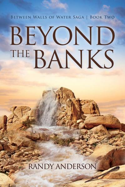 Beyond the Banks
