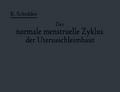 Der normale menstruelle Zyklus der Uterusschleimhaut