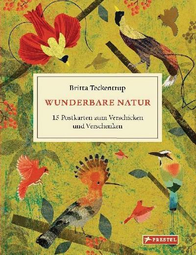 Wunderbare Natur: 15 Postkarten zum Verschicken und Verschenken