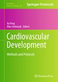 Cardiovascular Development