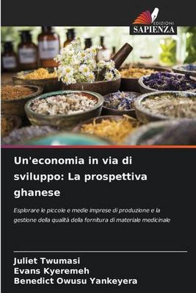 Un’economia in via di sviluppo: La prospettiva ghanese