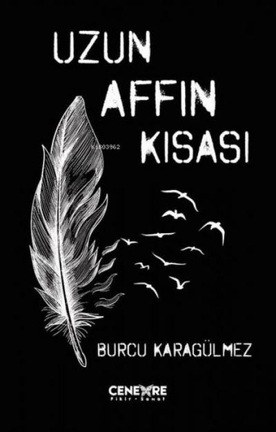 Uzun Affin Kisasi