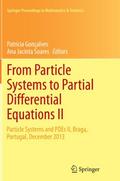 From Particle Systems to Partial Differential Equations II