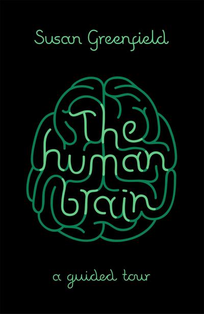 The Human Brain