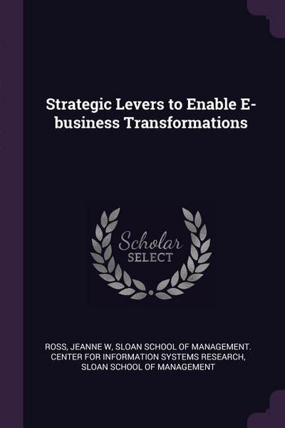Strategic Levers to Enable E-business Transformations