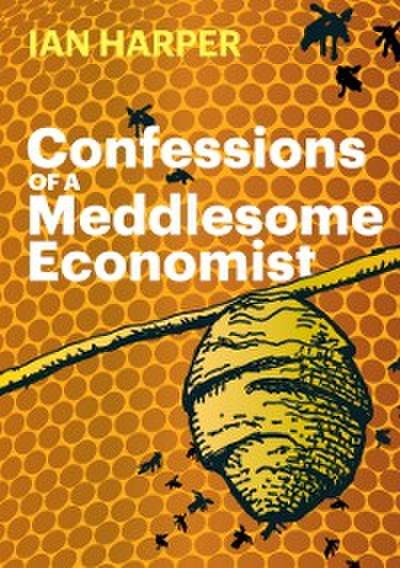 Confessions of a Meddlesome Economist