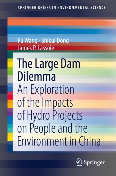 The Large Dam Dilemma