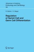 Regulation of Sertoli Cell and Germ Cell Different