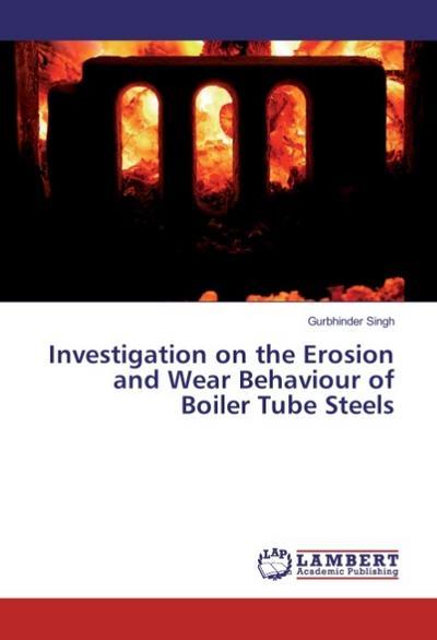 Investigation on the Erosion and Wear Behaviour of Boiler Tube Steels