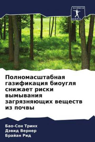 Polnomasshtabnaq gazifikaciq biouglq snizhaet riski wymywaniq zagrqznqüschih weschestw iz pochwy