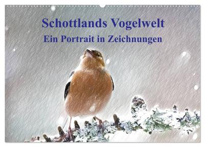 Schottlands Vogelwelt - Ein Porträt in Zeichnungen (Wandkalender 2026 DIN A2 quer), CALVENDO Monatskalender