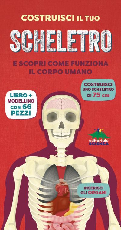 Costruisci il tuo scheletro e scopri come funziona il corpo umano