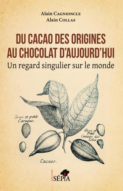 Du cacao des origines au chocolat d’aujourd’hui
