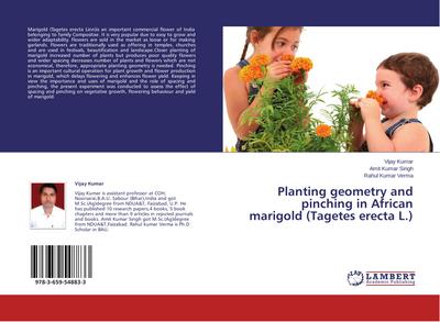 Planting geometry and pinching in African marigold (Tagetes erecta L.)