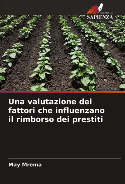 Una valutazione dei fattori che influenzano il rimborso dei prestiti