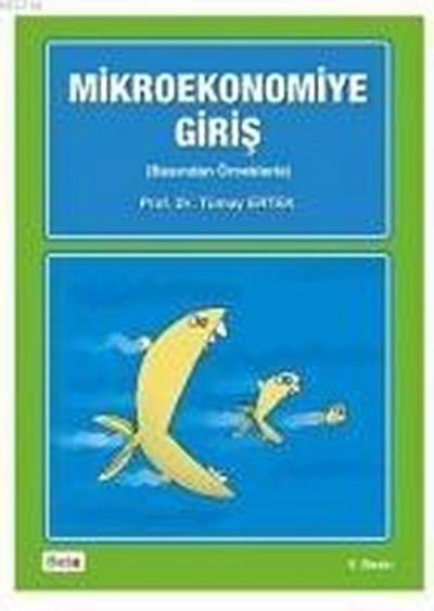 Mikroekonomiye Giris