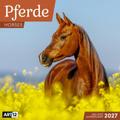 Pferde Kalender 2027