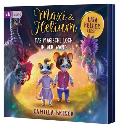 Maxi & Helium 1 - Das magische Loch in der Wand