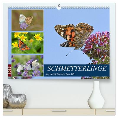 Schmetterlinge auf der Schwäbischen Alb (hochwertiger Premium Wandkalender 2025 DIN A2 quer), Kunstdruck in Hochglanz