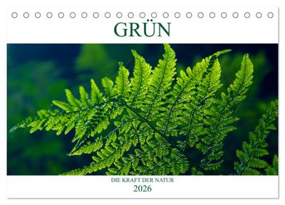 GRÜN . Die Kraft der Natur (Tischkalender 2026 DIN A5 quer), CALVENDO Monatskalender