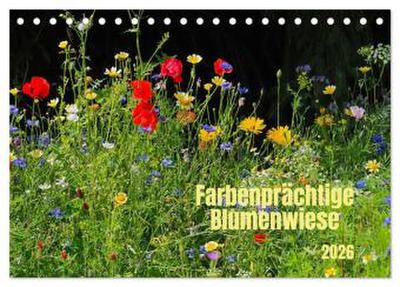 Farbenprächtige Blumenwiese (Tischkalender 2026 DIN A5 quer), CALVENDO Monatskalender