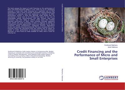 Credit Financing and the Performance of Micro and Small Enterprises
