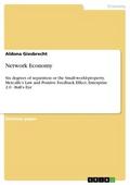 Network Economy