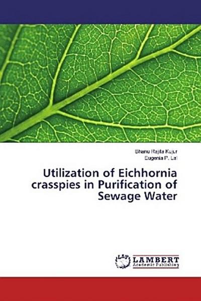 Utilization of Eichhornia crasspies in Purification of Sewage Water