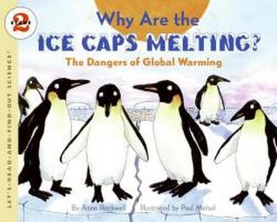 Rockwell, A: Why Are the Ice Caps Melting?