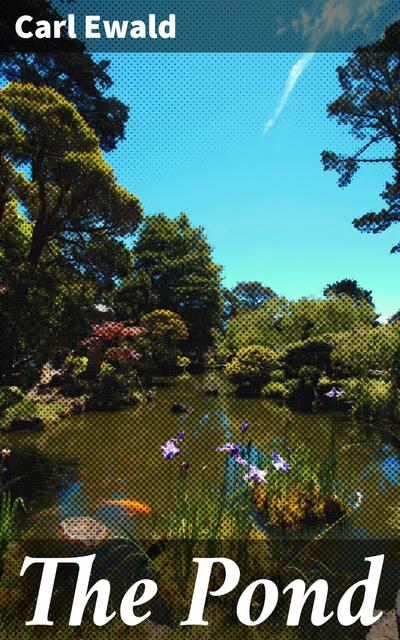 The Pond