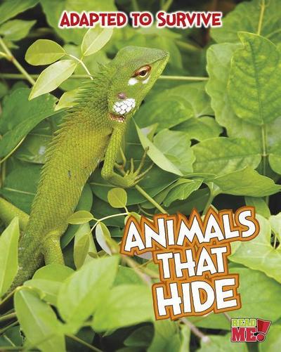 Animals That Hide