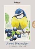 Unsere Blaumeisen