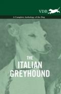 Italian Greyhound - A Complete Anthology of the Do