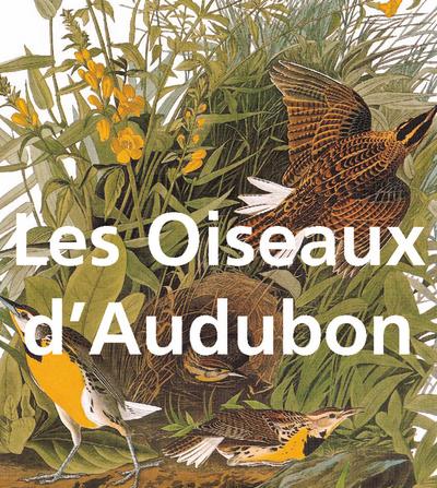 Les Oiseaux d’’Audubon